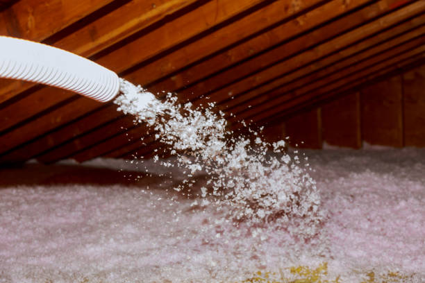 Best Insulation Maintenance and Repair in Oakfield, WI