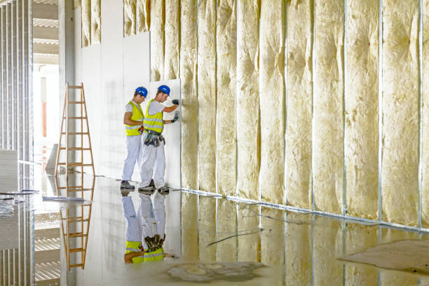 Best Commercial Insulation in Oakfield, WI